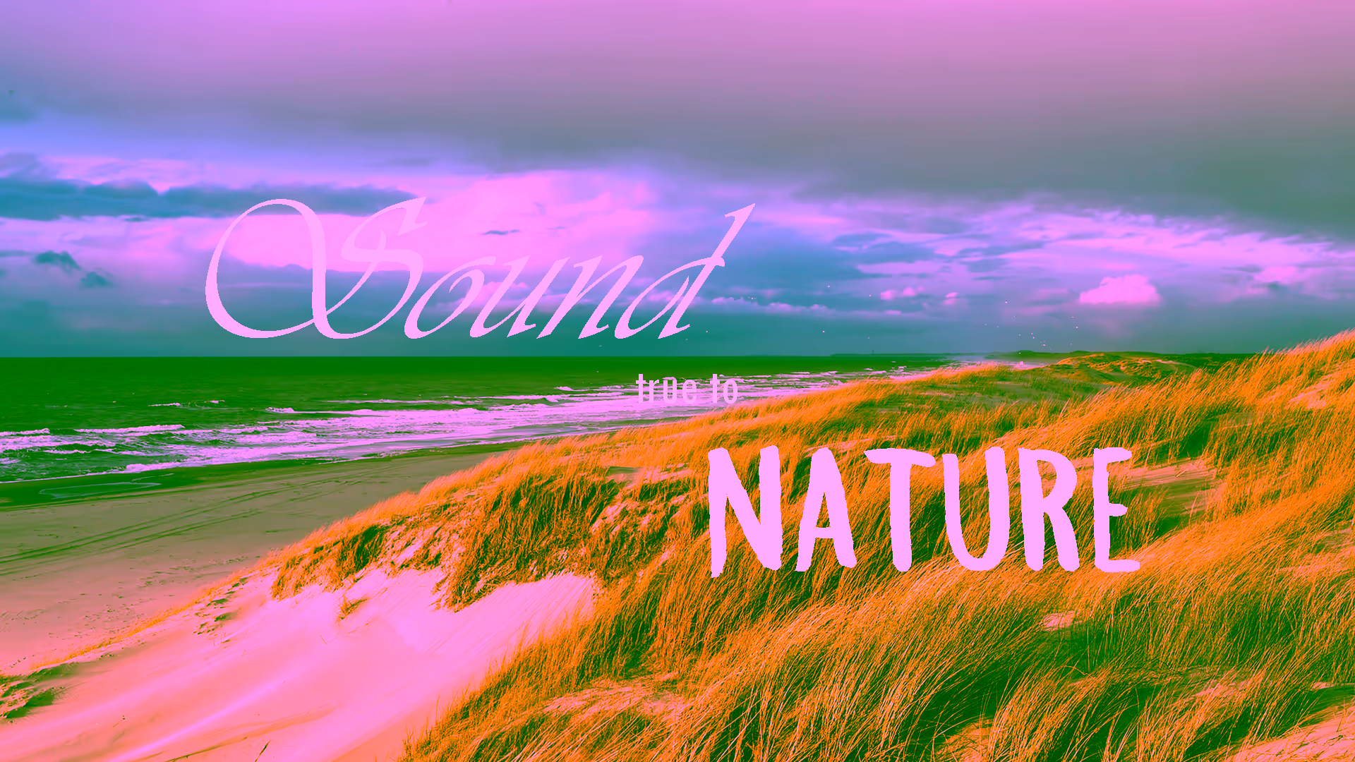 A Dutch sea-side dune photo with white text 'Sound true to Nature' superimposed